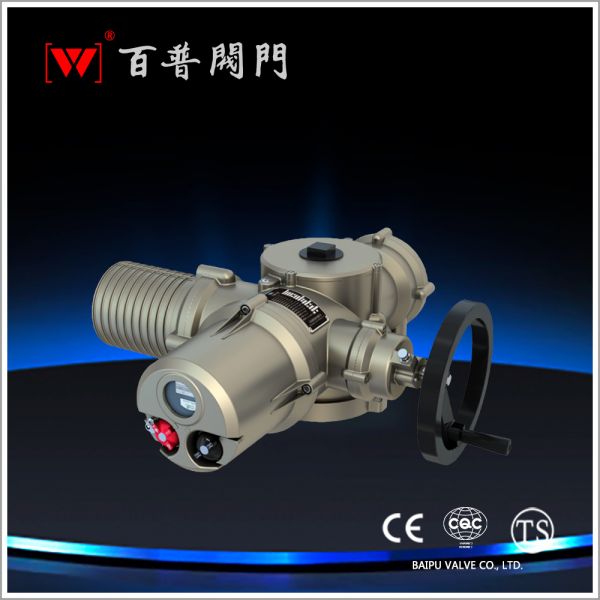 電動執(zhí)行器