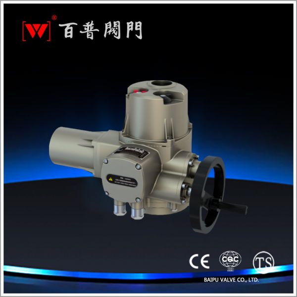 電動執(zhí)行器