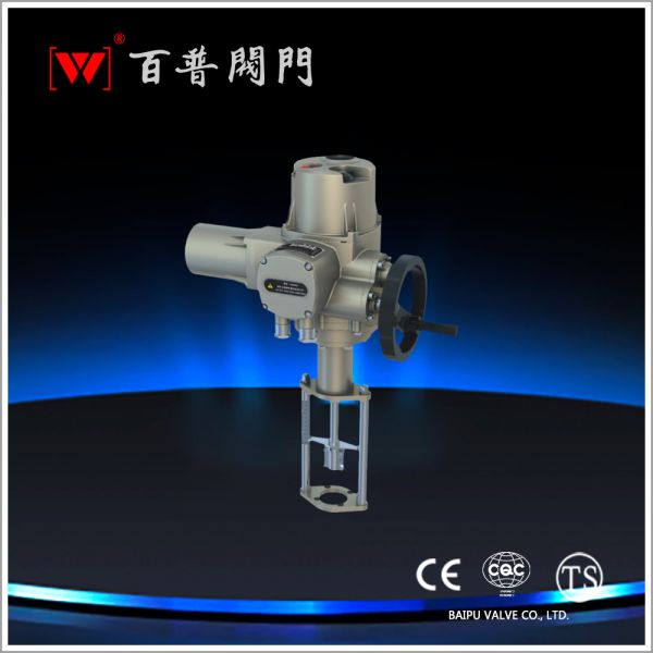 電動執(zhí)行器